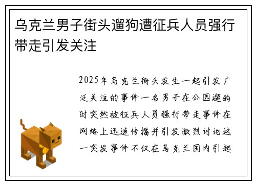 乌克兰男子街头遛狗遭征兵人员强行带走引发关注