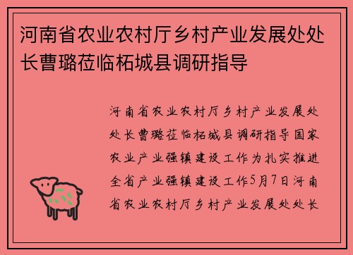 河南省农业农村厅乡村产业发展处处长曹璐莅临柘城县调研指导