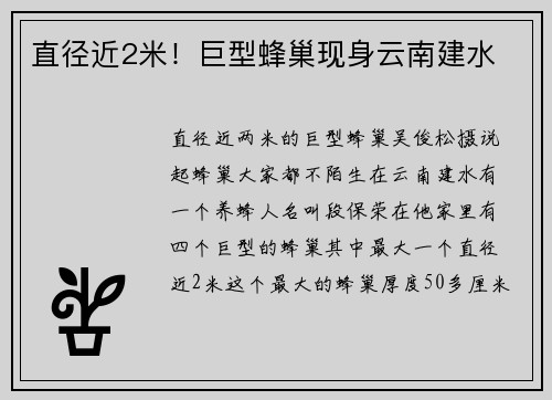 直径近2米！巨型蜂巢现身云南建水