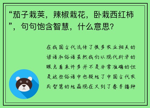“茄子栽荚，辣椒栽花，卧栽西红柿”，句句饱含智慧，什么意思？