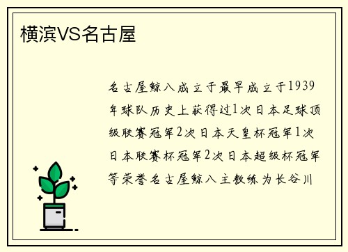 横滨VS名古屋